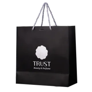 ساک‌دستی مشکی Trust Professional